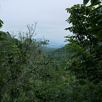 Photo de Bali - Autour de Munduk